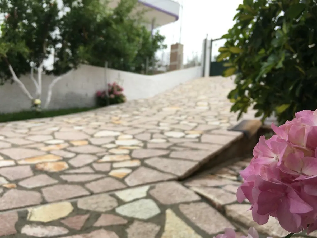 Natural Holiday Houses Ksamil Apartment