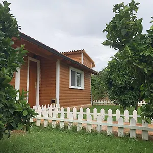  Дом отдыха The Mussel House